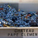 PAPE CLEMENT NEW 03
