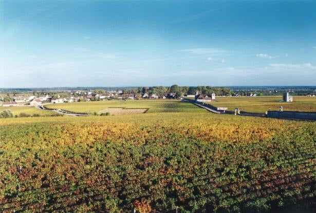 Domaine Blain Gagnard Chassagne Montrachet 布加尼莊夏山蒙哈榭干白酒 75cl