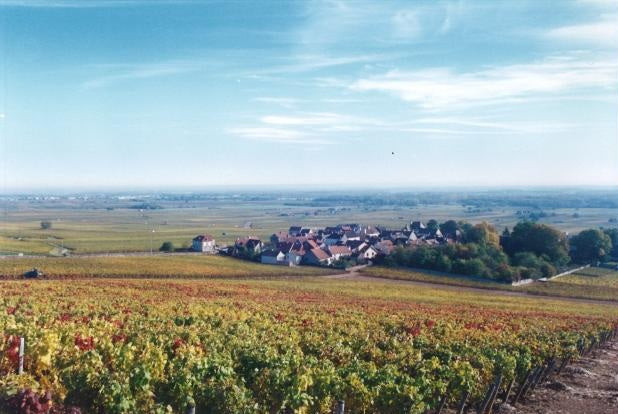 Domaine Blain Gagnard Chassagne Montrachet 布加尼莊夏山蒙哈榭干白酒 75cl