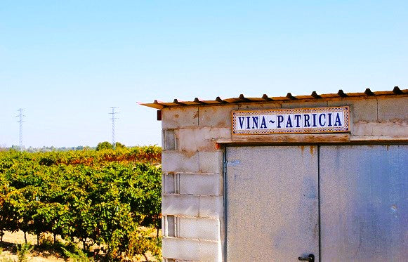 Vina Aliaga Tempranillo Patricia 西班牙亞麗嘉紅酒 75cl