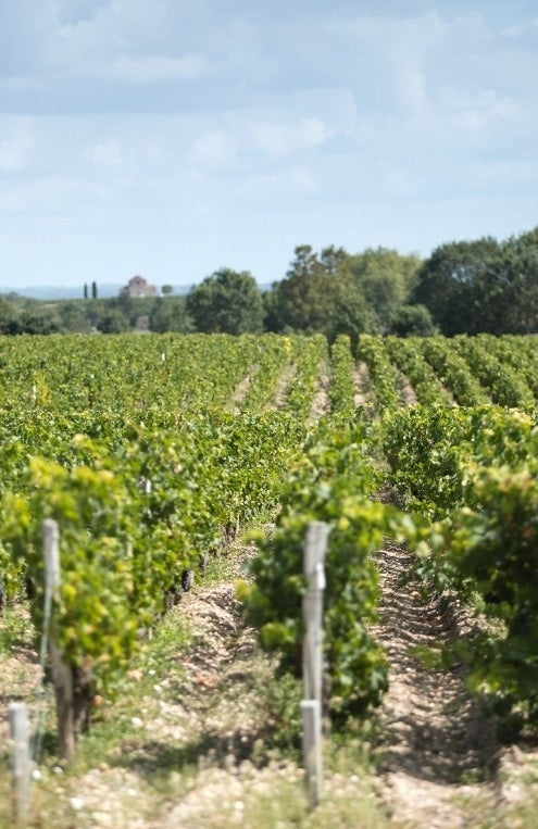 Chateau Beau Site 寶賽莊紅酒 75cl