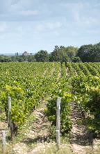 Chateau Beau Site 寶賽莊紅酒 75cl