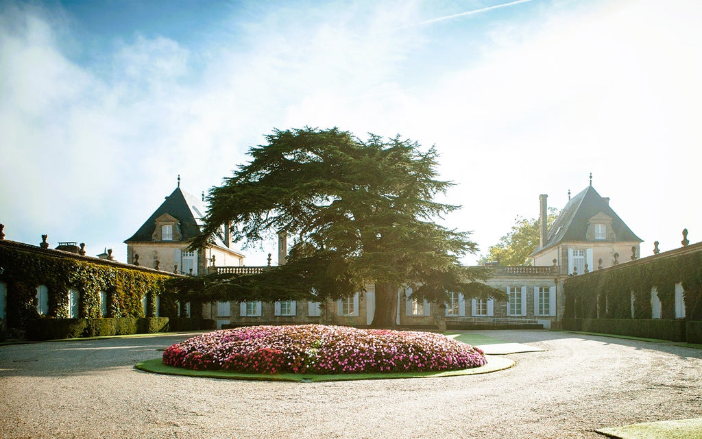 Chateau Beychevelle 龍船莊紅酒半瓶裝 375ml