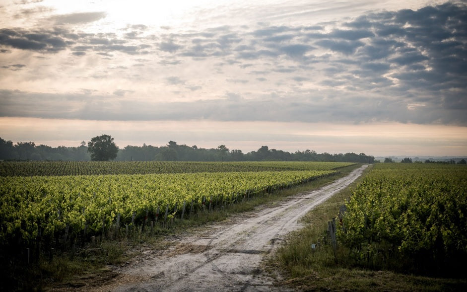 Chateau Camensac 卡門薩克莊紅酒 75cl