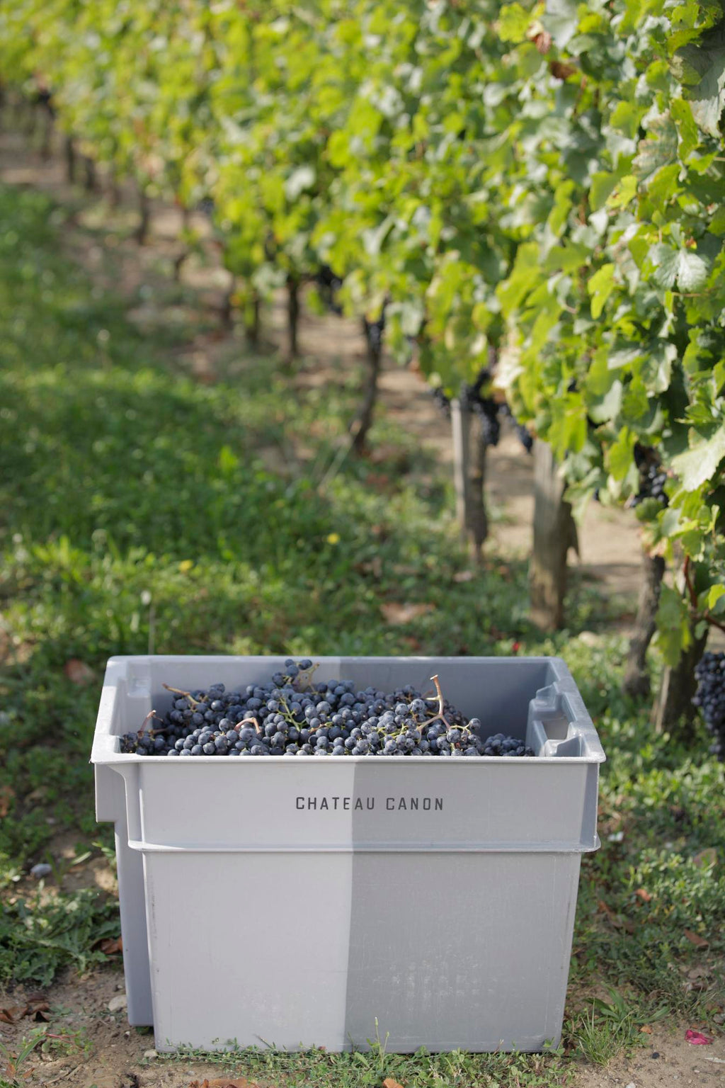 Chateau Canon 卡儂莊紅酒 75cl