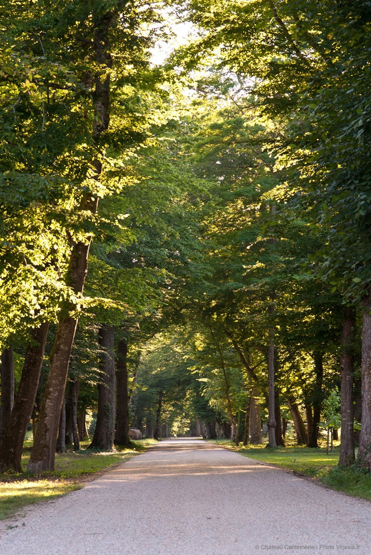 Chateau Cantemerle 佳得美莊紅酒 75cl