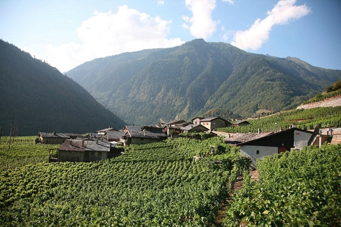 Caves Orsat Fendant Primus Classicus 瑞士卡奧莎莊峰當干白酒 75cl