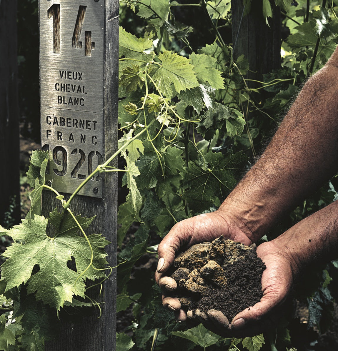 Chateau Cheval Blanc 白馬莊紅酒 75cl