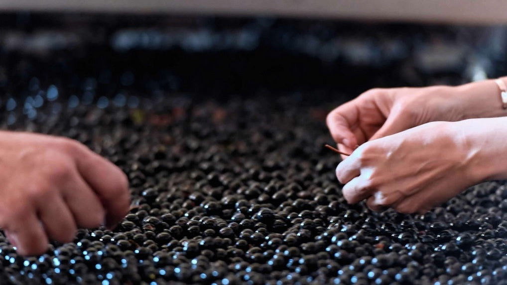 Chateau Croizet Bages 歌碧莊紅酒 75cl