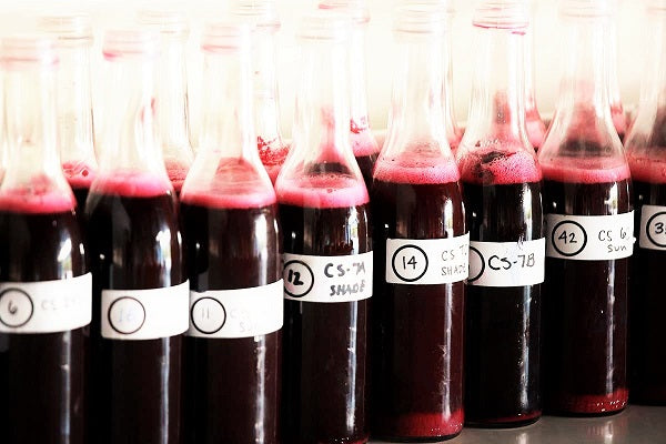 Dominus Napa Valley 美國納帕谷多明納斯酒莊 75cl