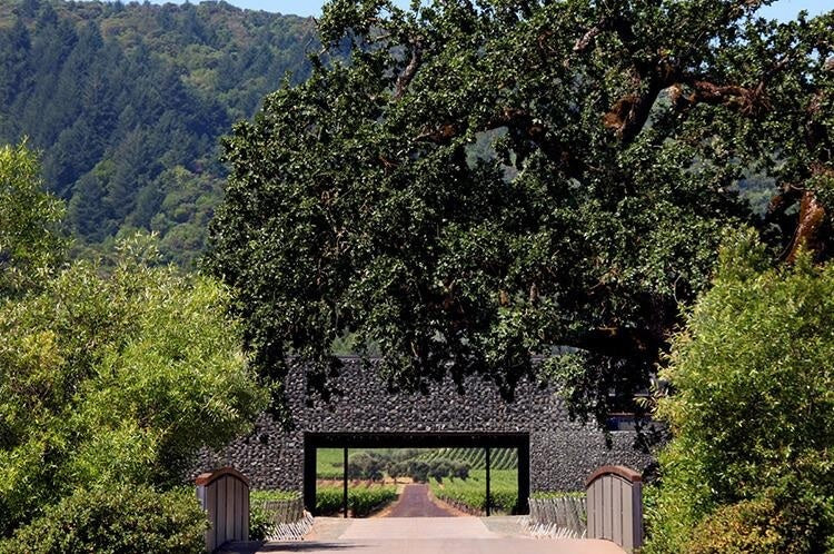 Dominus Napa Valley 美國納帕谷多明納斯酒莊 75cl