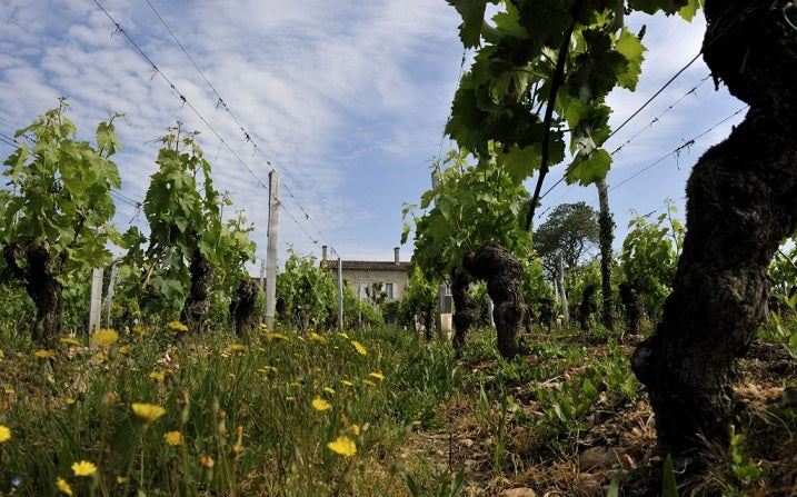 Chateau L Eglise Clinet 克里奈教堂莊紅酒 75cl