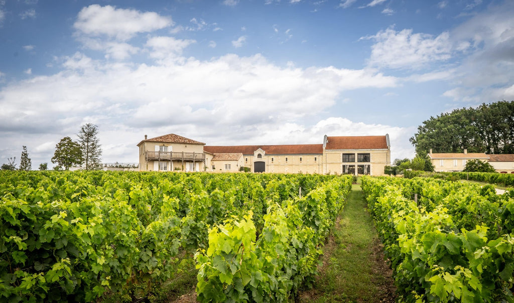 Chateau La Garde Rouge 麗嘉莊紅酒 75cl