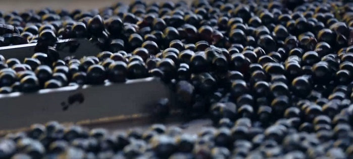 Chateau Les Grands Marechaux 葛馬素莊紅酒 75cl