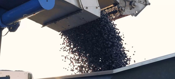 Chateau Les Grands Marechaux 葛馬素莊紅酒 75cl