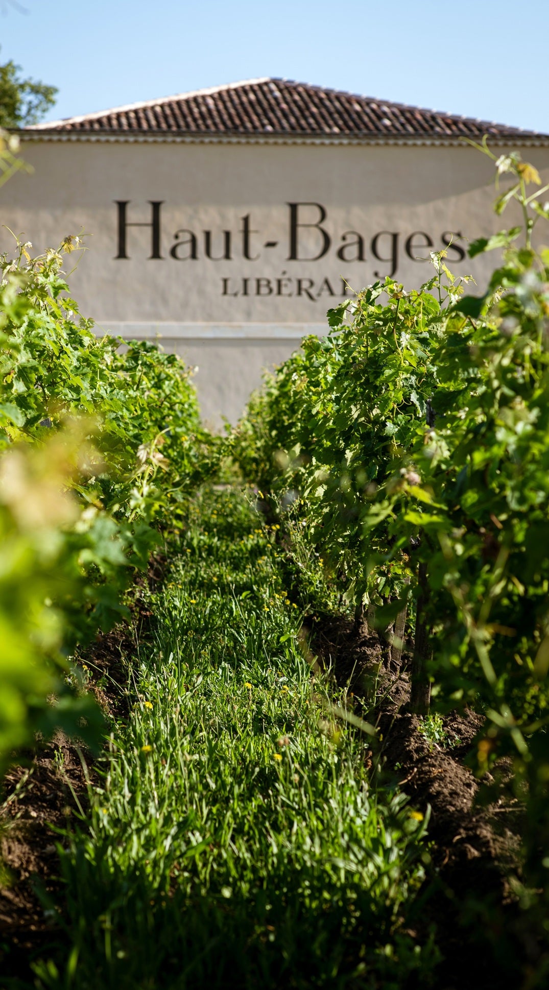 Chateau Haut Bages Liberal 奧巴里奇莊紅酒 75cl