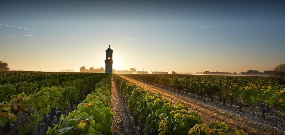 Chateau Haut Batailley 奧巴特利莊紅酒75cl