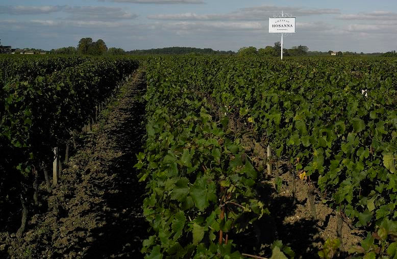 Chateau Hosanna 奧山娜(凱歌)莊紅酒 75cl