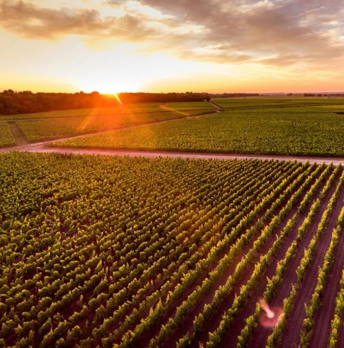 Les Fiefs de Lagrange 拉格喜(力關)副牌紅酒 75cl