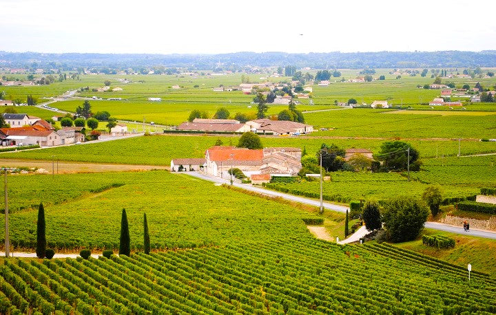 Chateau Magdelaine 美特朗莊紅酒 75cl