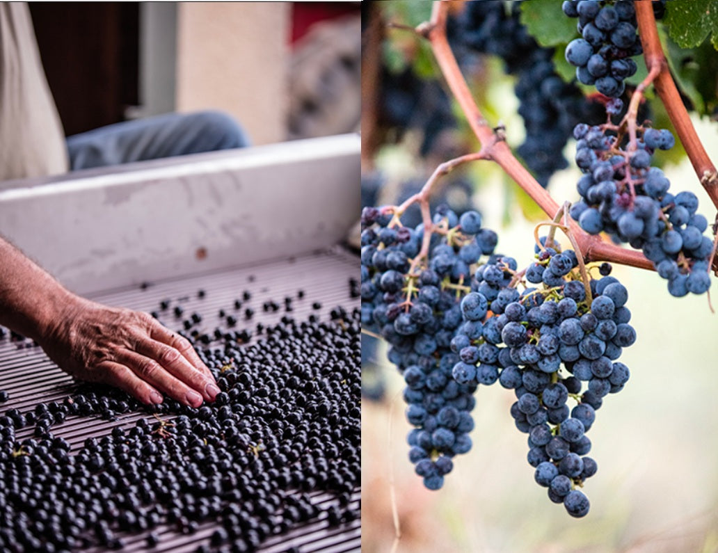 Chateau Marsau 瑪素莊紅酒 75cl