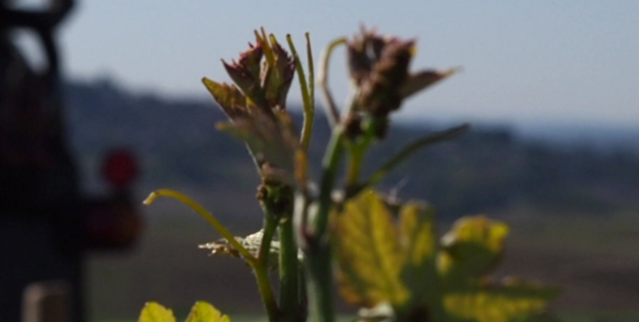 Domaine Michel Girard Sancerre Blanc 米歇爾吉華莊松塞爾干白酒 75cl