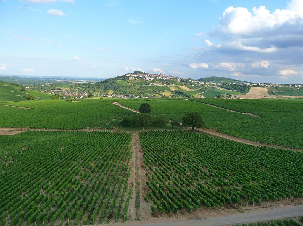 Domaine Michel Girard Sancerre Blanc 米歇爾吉華莊松塞爾干白酒 75cl