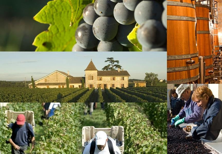 Chateau La Mondotte 拉夢多莊紅酒 75cl