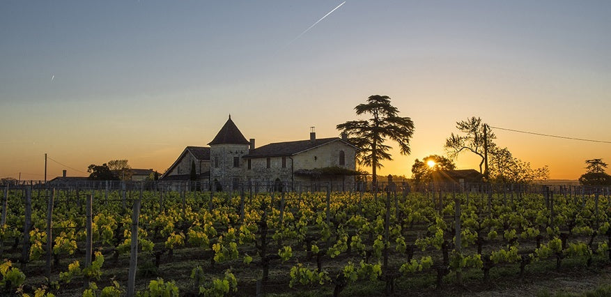 Chateau La Mondotte 拉夢多莊紅酒 75cl