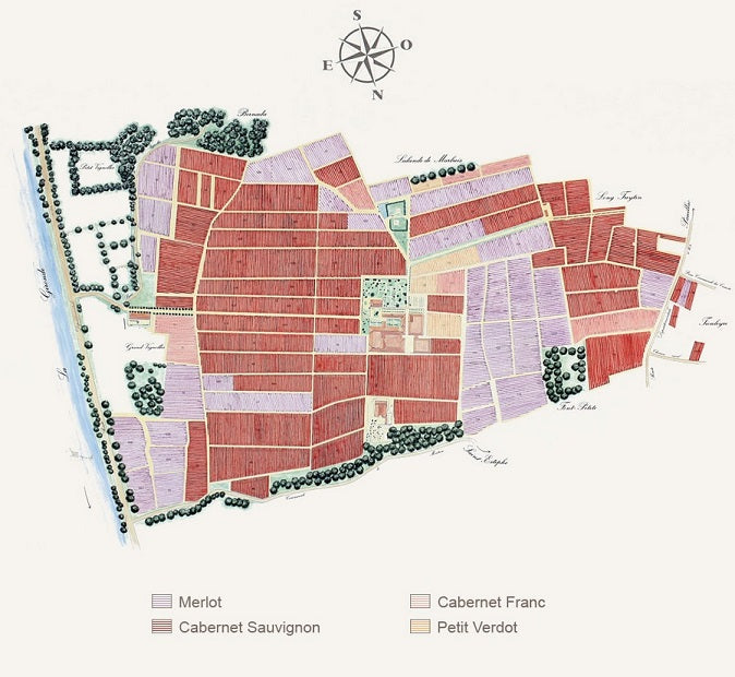 La Dame de Montrose 玫瑰山副牌紅酒 75cl