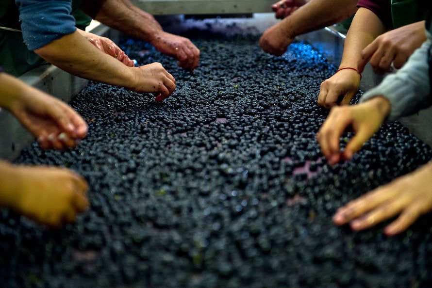 La Dame de Montrose 玫瑰山副牌紅酒 75cl