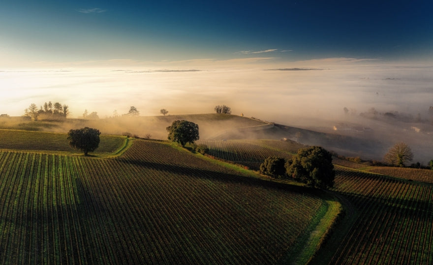 Chateau Pavie Macquin 巴菲麥格(柏菲瑪凱)莊紅酒 75cl