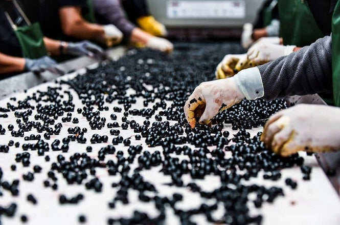 Chateau Pedesclaux 百德詩歌莊紅酒 75cl