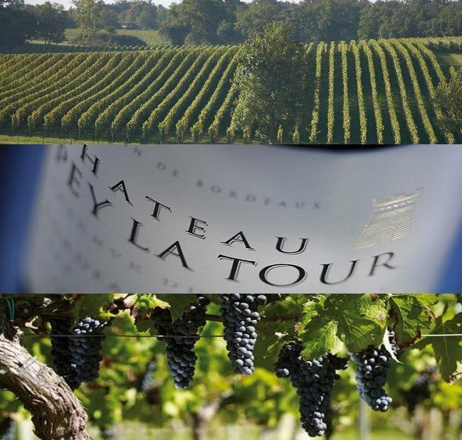 Chateau Pey La Tour Reserve du Chateau 德拉圖莊紅酒 75cl