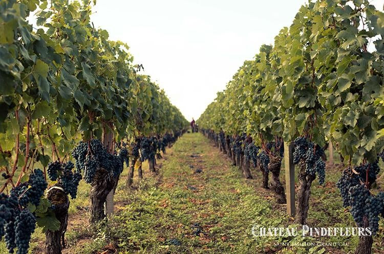 Chateau Pindefleurs 鵬德富莊紅酒 75cl