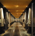 Chateau Pontet Canet 龐特卡內/寶得根莊紅酒 75cl