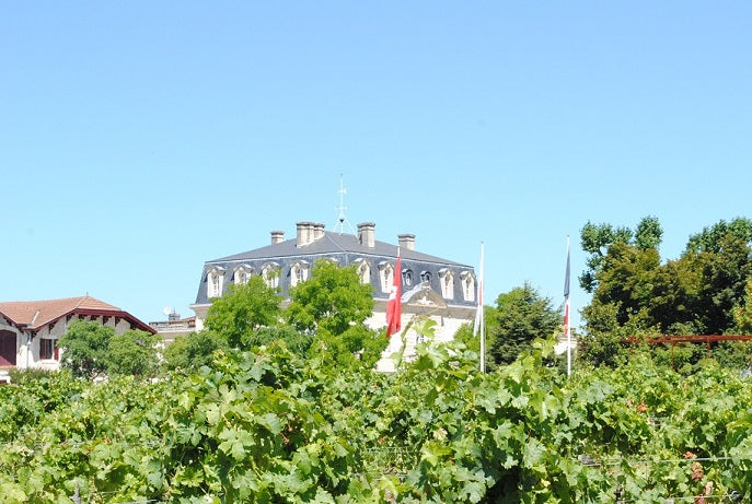 Chateau Pontet Canet 龐特卡內/寶得根莊紅酒 75cl