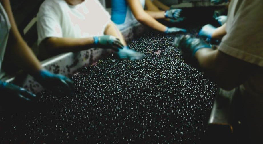 Chateau Pontet Canet 龐特卡內/寶得根莊紅酒 75cl