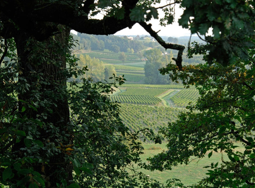 Chateau Lauriol Rouge 羅維爾莊紅酒 75cl