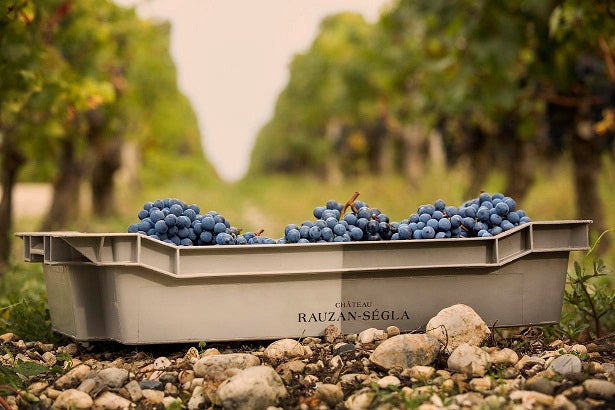 Chateau Rauzan Segla 魯臣世家莊紅酒 75cl