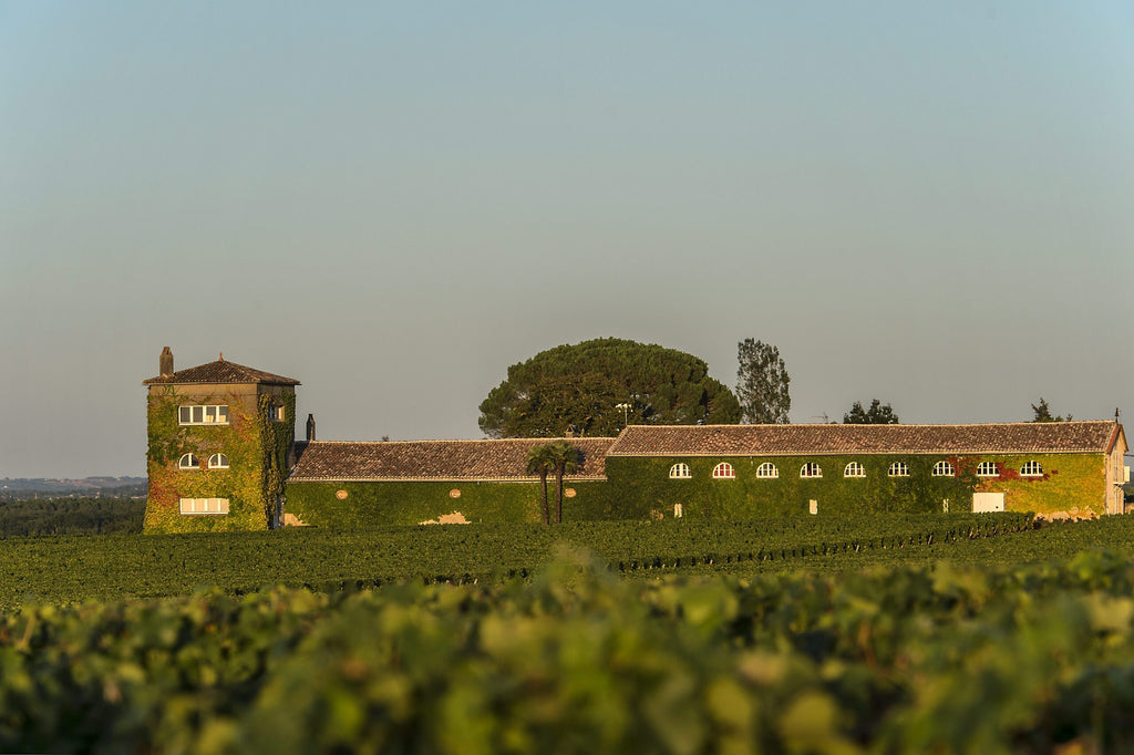 Chateau Rieussec Sauternes 維爾謝(萊斯)莊甜白酒半瓶裝 375ml