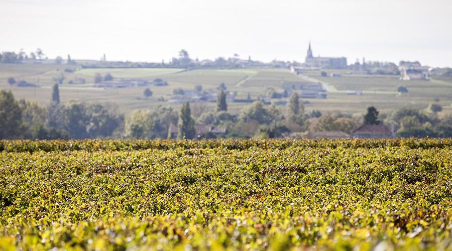 Chateau Saint Andre Corbin 歌本莊紅酒 75cl