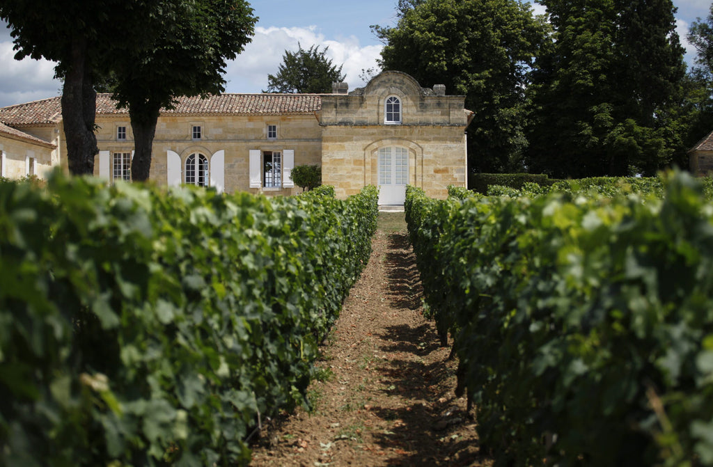 Chateau Trottevieille 老托特(托特飛爾)莊紅酒 75cl