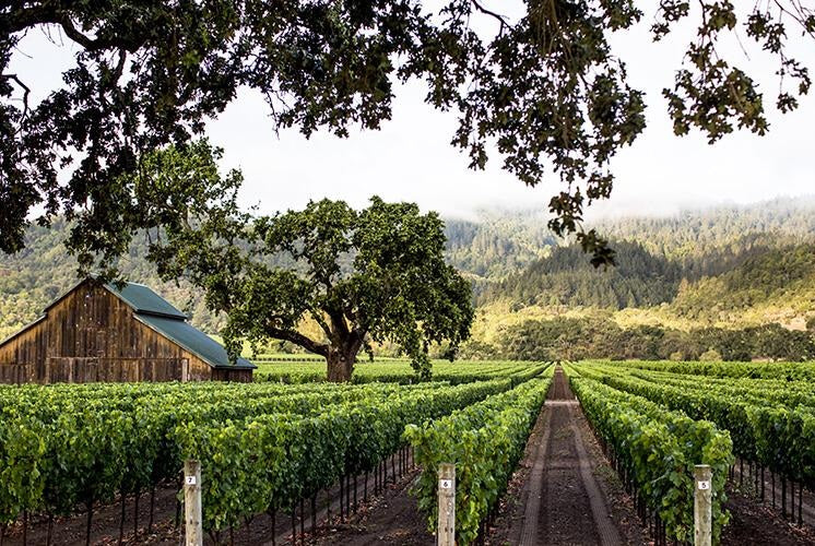 Ulysses Napa Valley 美國納帕谷尤利西斯酒莊 75cl